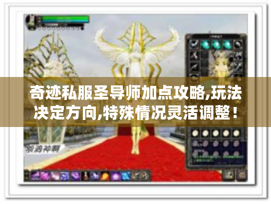 奇迹私服圣导师加点攻略,玩法决定方向,特殊情况灵活调整！