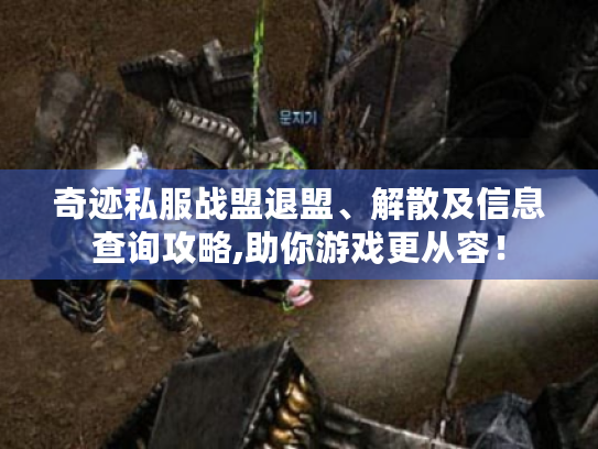 奇迹私服战盟退盟、解散及信息查询攻略,助你游戏更从容！
