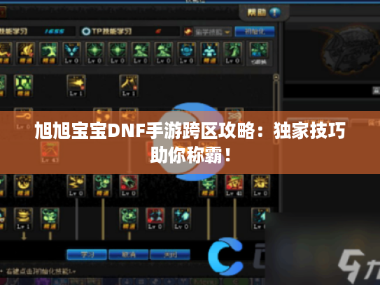 旭旭宝宝DNF手游跨区攻略：独家技巧助你称霸！