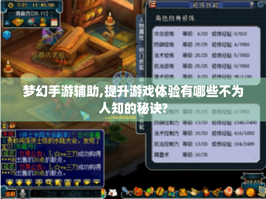 梦幻手游辅助,提升游戏体验有哪些不为人知的秘诀? 梦幻手游辅助,提升游戏体验有哪些不为人知的秘诀?