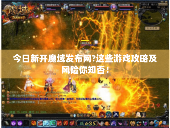 今日新开魔域发布网?这些游戏攻略及风险你知否！