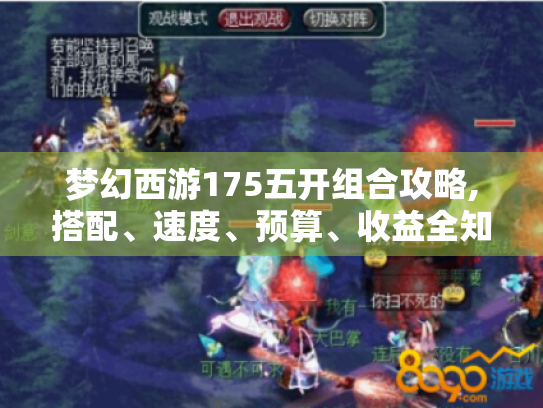 梦幻西游175五开组合攻略,搭配、速度、预算、收益全知道！- GDP