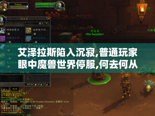 艾泽拉斯陷入沉寂,普通玩家眼中魔兽世界停服,何去何从? - 启示录