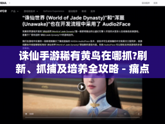诛仙手游稀有黄鸟在哪抓?刷新、抓捕及培养全攻略 - 痛点揭秘