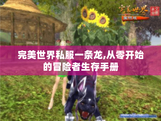 完美世界私服一条龙,从零开始的冒险者生存手册