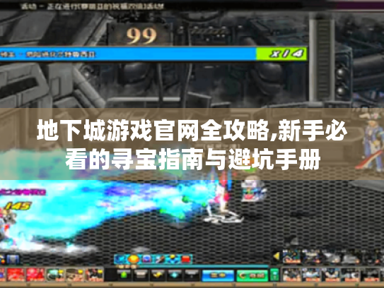 地下城游戏官网全攻略,新手必看的寻宝指南与避坑手册 地下城游戏官网全攻略,新手必看的寻宝指南与避坑手册