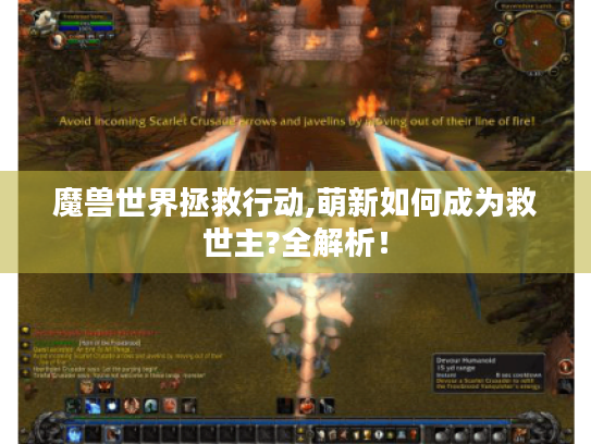 魔兽世界拯救行动,萌新如何成为救世主?全解析！