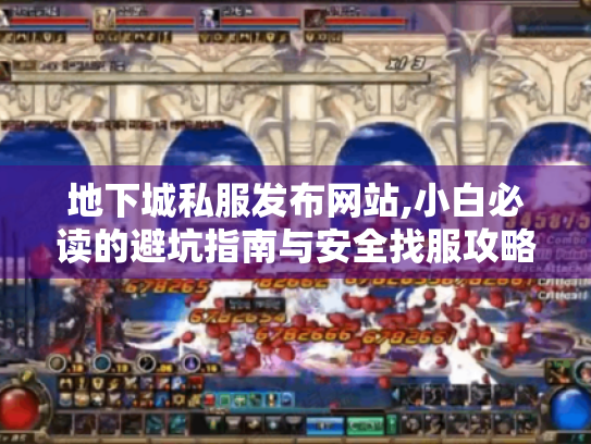 地下城私服发布网站,小白必读的避坑指南与安全找服攻略