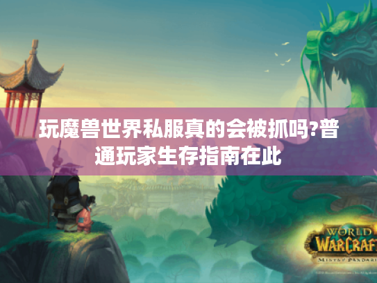 玩魔兽世界私服真的会被抓吗?普通玩家生存指南在此