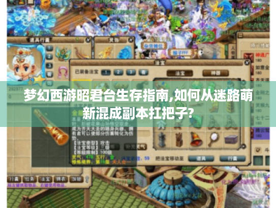 梦幻西游昭君台生存指南,如何从迷路萌新混成副本扛把子? 梦幻西游昭君台生存指南,如何从迷路萌新混成副本扛把子?