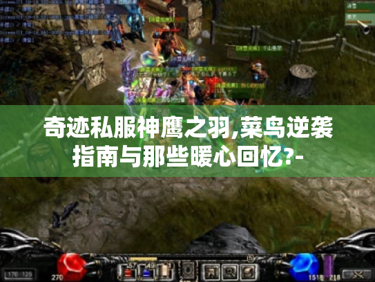 奇迹私服神鹰之羽,菜鸟逆袭指南与那些暖心回忆?- 奇迹私服神鹰之羽,菜鸟逆袭指南与那些暖心回忆?-