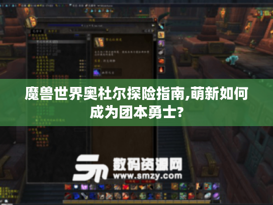 魔兽世界奥杜尔探险指南,萌新如何成为团本勇士?