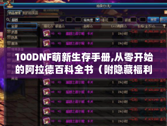 100DNF萌新生存手册,从零开始的阿拉德百科全书（附隐藏福利地图）
