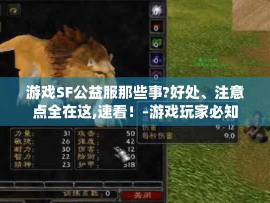 游戏SF公益服那些事?好处、注意点全在这,速看！-游戏玩家必知