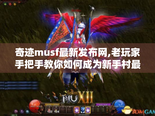 奇迹musf最新发布网,老玩家手把手教你如何成为新手村最靓的崽 奇迹musf最新发布网,老玩家手把手教你如何成为新手村最靓的崽