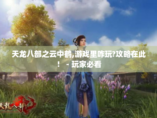 天龙八部之云中鹤,游戏里咋玩?攻略在此！ - 玩家必看