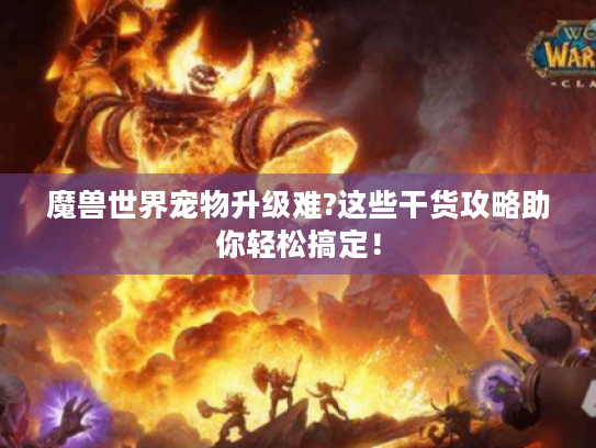 魔兽世界宠物升级难?这些干货攻略助你轻松搞定！
