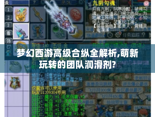 梦幻西游高级合纵全解析,萌新玩转的团队润滑剂?