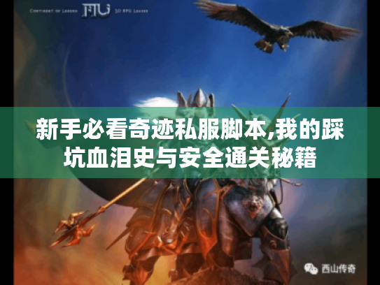 新手必看奇迹私服脚本,我的踩坑血泪史与安全通关秘籍