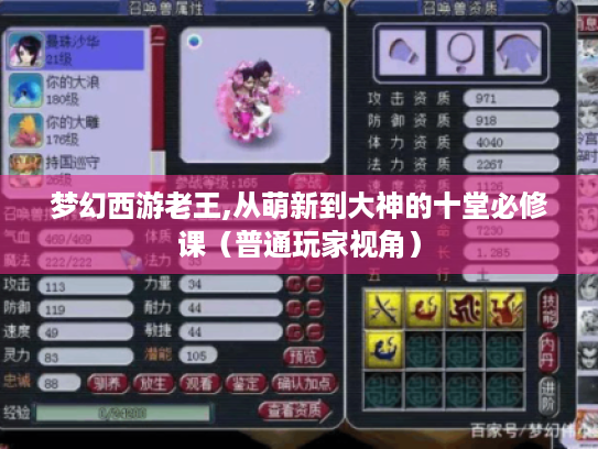 梦幻西游老王,从萌新到大神的十堂必修课（普通玩家视角）