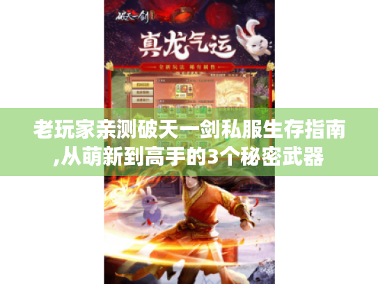 老玩家亲测破天一剑私服生存指南,从萌新到高手的3个秘密武器