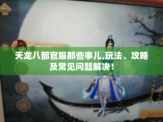 天龙八部官服那些事儿,玩法、攻略及常见问题解决！