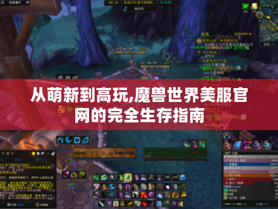 从萌新到高玩,魔兽世界美服官网的完全生存指南
