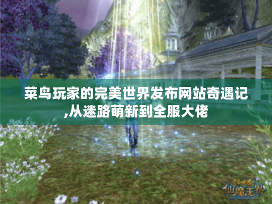 菜鸟玩家的完美世界发布网站奇遇记,从迷路萌新到全服大佬