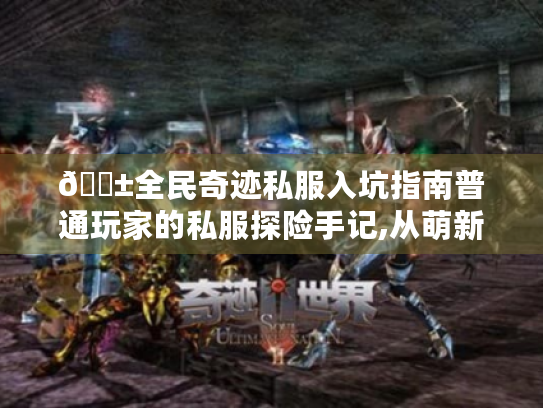 📱全民奇迹私服入坑指南普通玩家的私服探险手记,从萌新到大神的避坑攻略💎