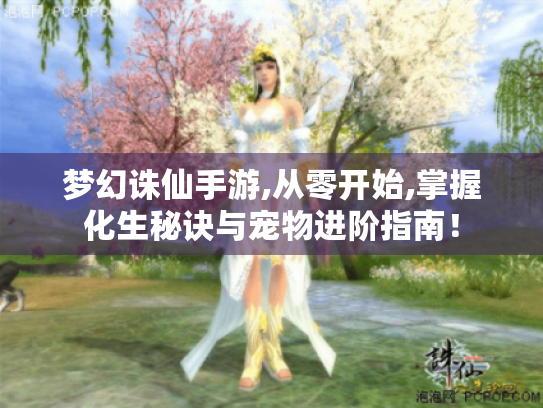 梦幻诛仙手游,从零开始,掌握化生秘诀与宠物进阶指南！
