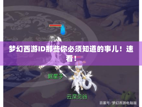 梦幻西游ID那些你必须知道的事儿!速看! 梦幻西游ID那些你必须知道的事儿!速看!