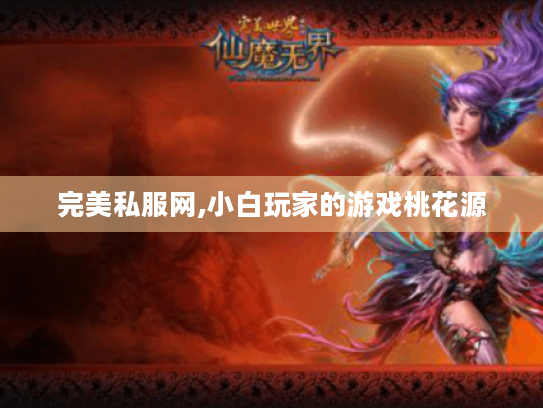 完美私服网,小白玩家的游戏桃花源