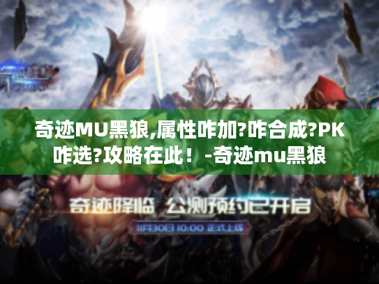 奇迹MU黑狼,属性咋加?咋合成?PK咋选?攻略在此!-奇迹mu黑狼 奇迹MU黑狼,属性咋加?咋合成?PK咋选?攻略在此!-奇迹mu黑狼