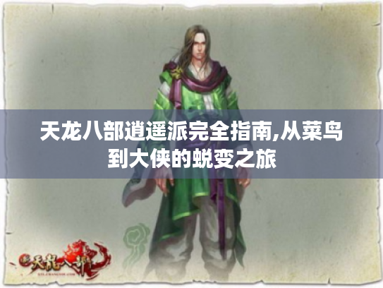 天龙八部逍遥派完全指南,从菜鸟到大侠的蜕变之旅