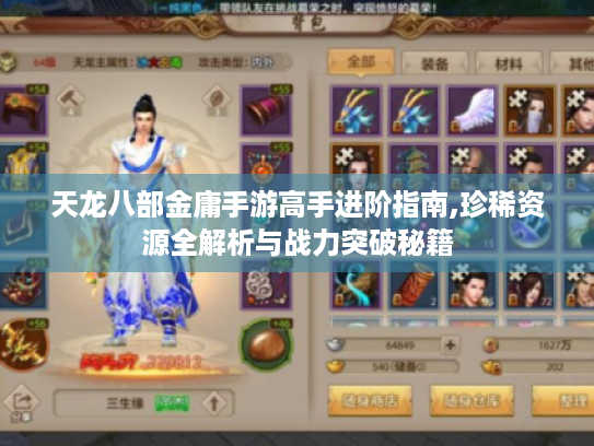 天龙八部金庸手游高手进阶指南,珍稀资源全解析与战力突破秘籍