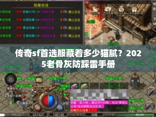传奇sf首选服藏着多少猫腻？2025老骨灰防踩雷手册