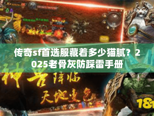 传奇sf首选服藏着多少猫腻？2025老骨灰防踩雷手册