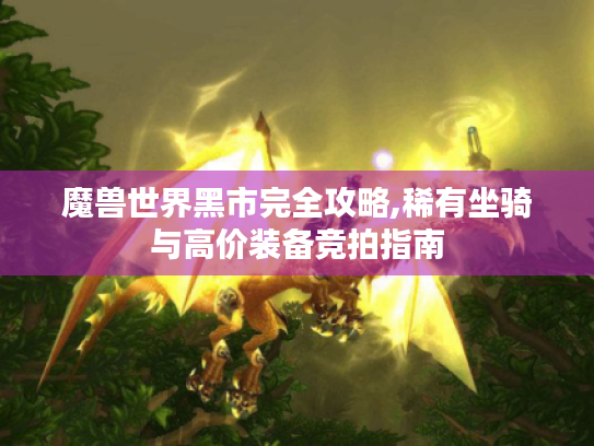 魔兽世界黑市完全攻略,稀有坐骑与高价装备竞拍指南 魔兽世界黑市完全攻略,稀有坐骑与高价装备竞拍指南