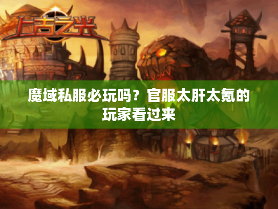 魔域私服必玩吗？官服太肝太氪的玩家看过来