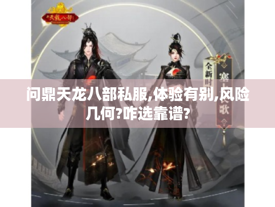 问鼎天龙八部私服,体验有别,风险几何?咋选靠谱?