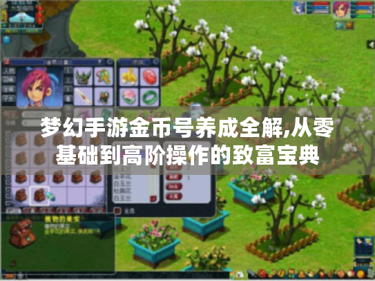 梦幻手游金币号养成全解,从零基础到高阶操作的致富宝典