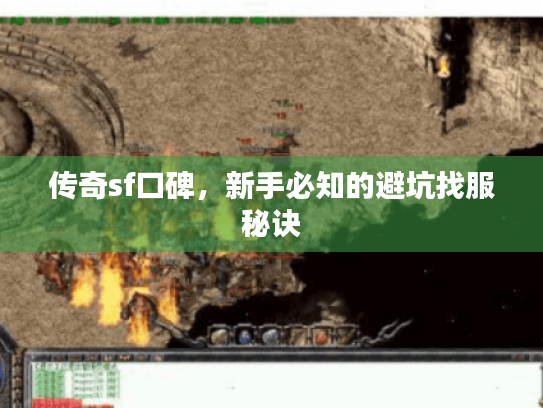 传奇sf口碑，新手必知的避坑找服秘诀