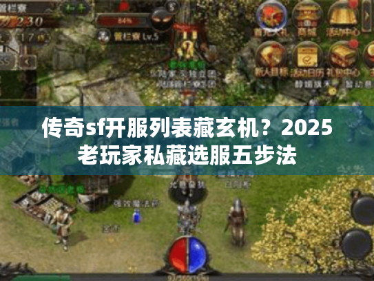 传奇sf开服列表藏玄机?2025老玩家私藏选服五步法 传奇sf开服列表藏玄机?2025老玩家私藏选服五步法