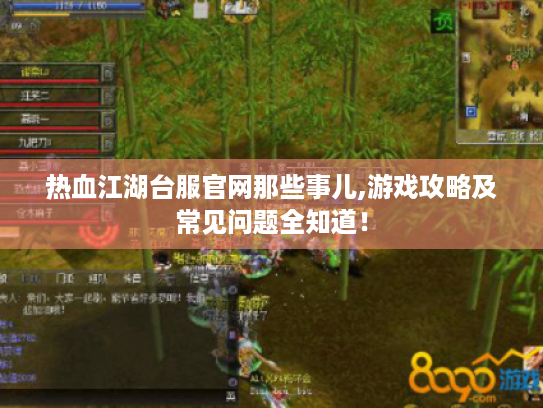 热血江湖台服官网那些事儿,游戏攻略及常见问题全知道！