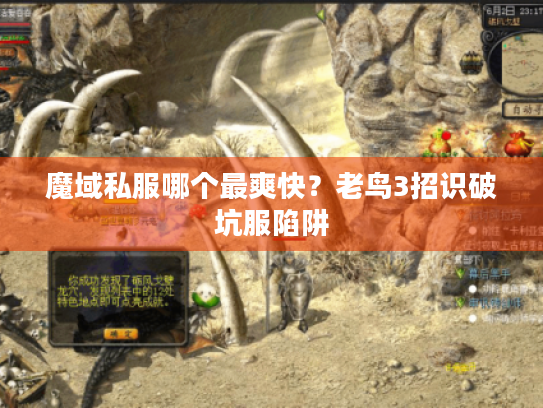 魔域私服哪个最爽快?老鸟3招识破坑服陷阱 魔域私服哪个最爽快?老鸟3招识破坑服陷阱