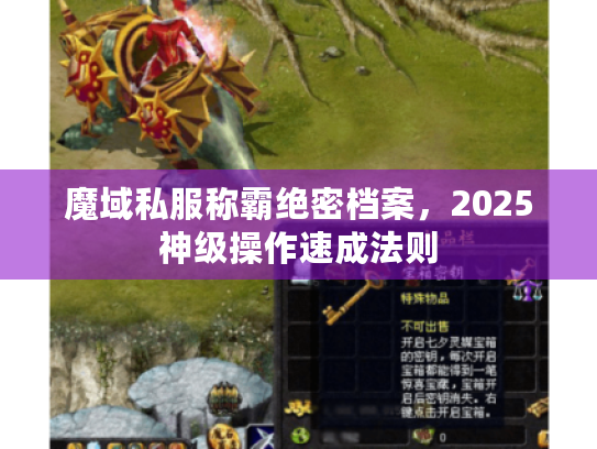 魔域私服称霸绝密档案，2025神级操作速成法则