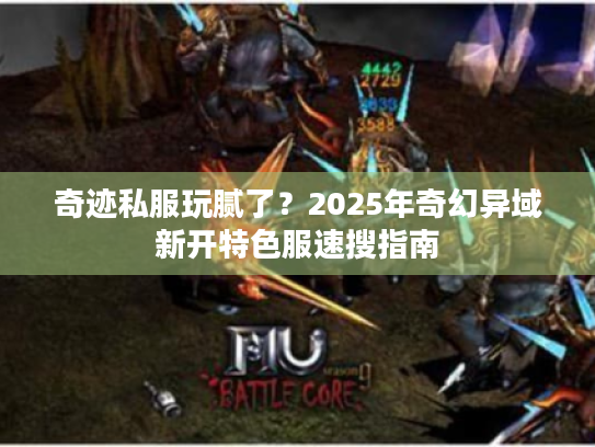 奇迹私服玩腻了？2025年奇幻异域新开特色服速搜指南