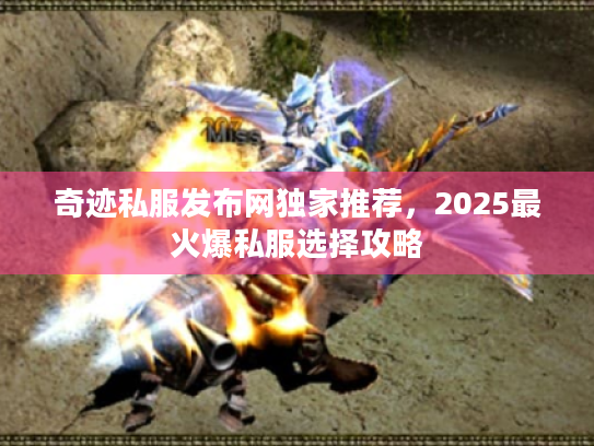 奇迹私服发布网独家推荐,2025最火爆私服选择攻略 奇迹私服发布网独家推荐,2025最火爆私服选择攻略