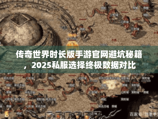 传奇世界时长版手游官网避坑秘籍，2025私服选择终极数据对比