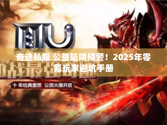 奇迹私服 公益陷阱预警！2025年零氪玩家避坑手册